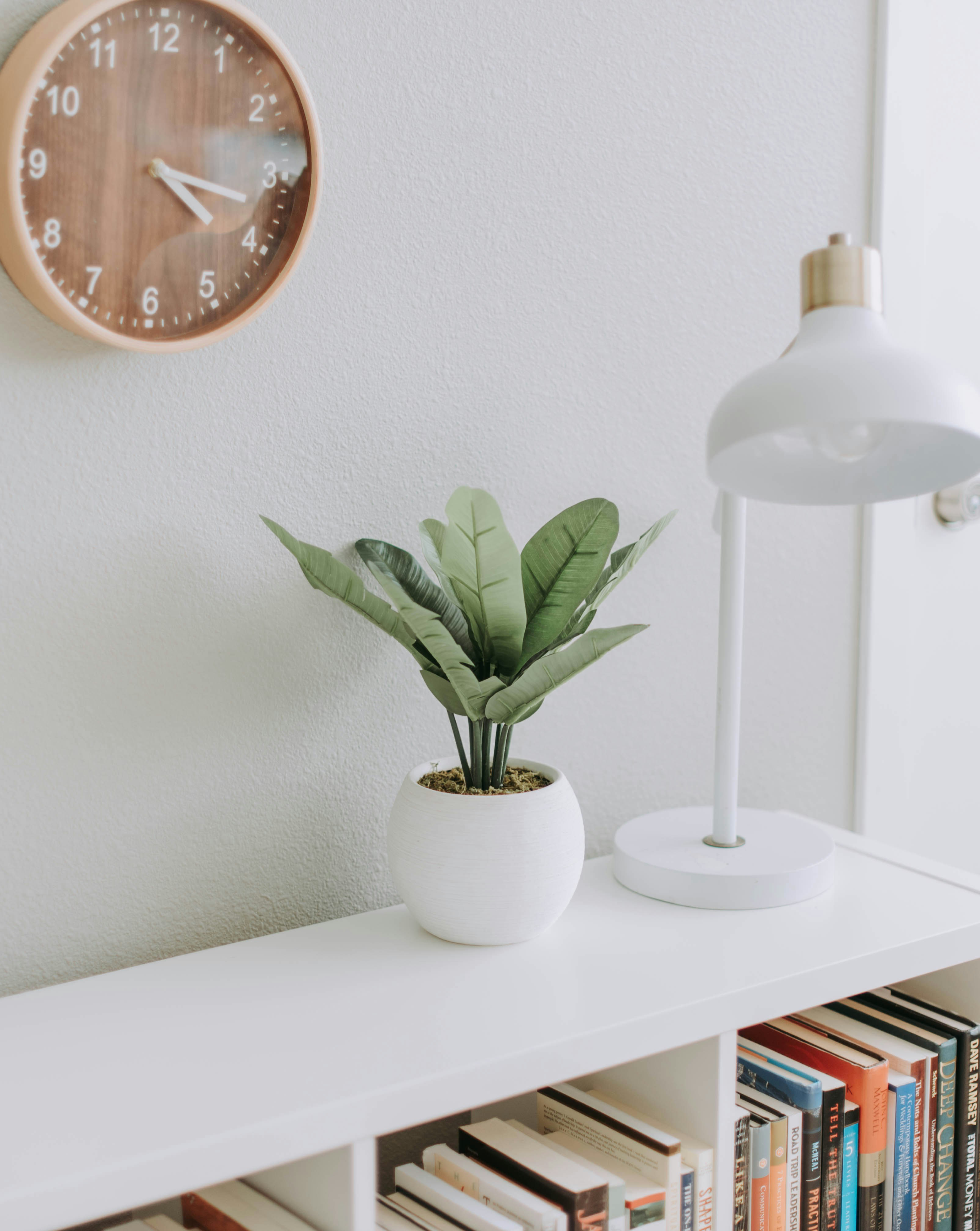 Expérience professionnelle